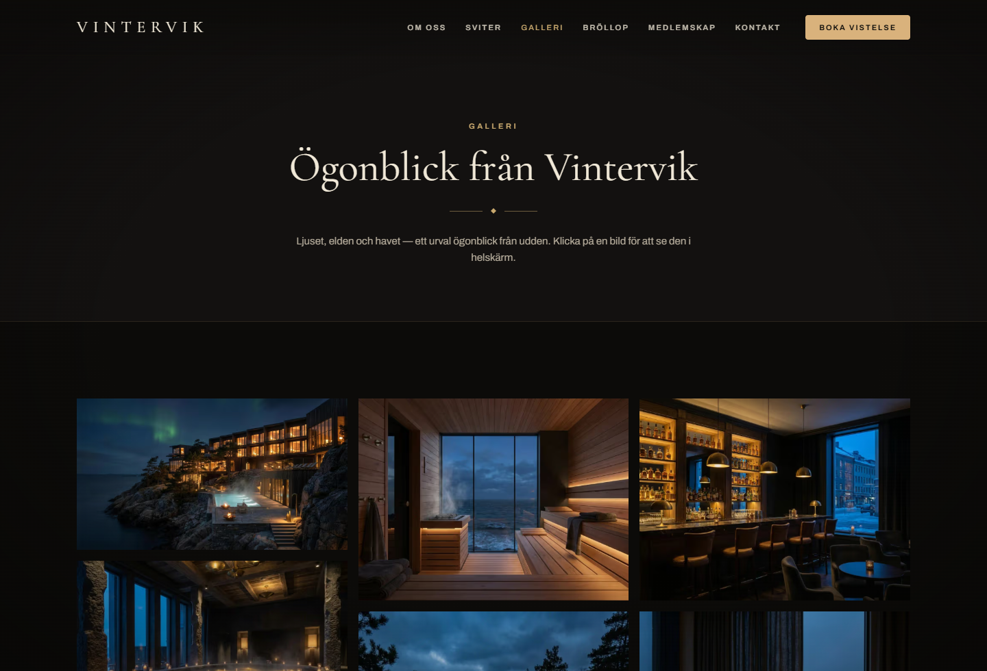 Vintervik vy 3